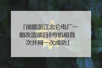 国能浙江北仑电厂一期改造项目8号机组首次并网一次成功