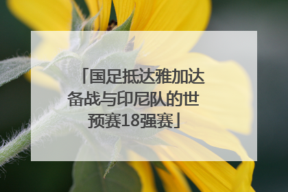 国足抵达雅加达备战与印尼队的世预赛18强赛