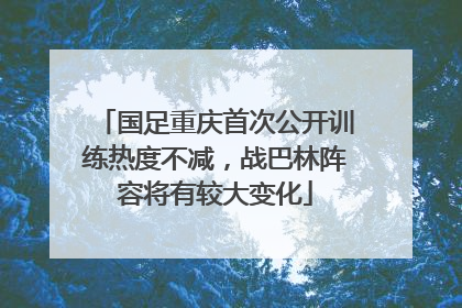 国足重庆首次公开训练热度不减，战巴林阵容将有较大变化