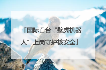 国际首台“壁虎机器人”上岗守护核安全