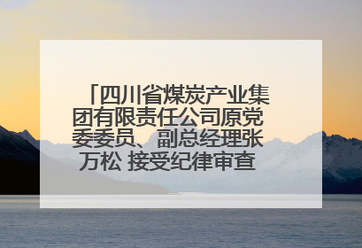 四川省煤炭产业集团有限责任公司原党委委员、副总经理张万松 接受纪律审查和监察调查
