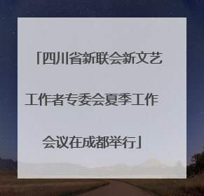 四川省新联会新文艺工作者专委会夏季工作会议在成都举行