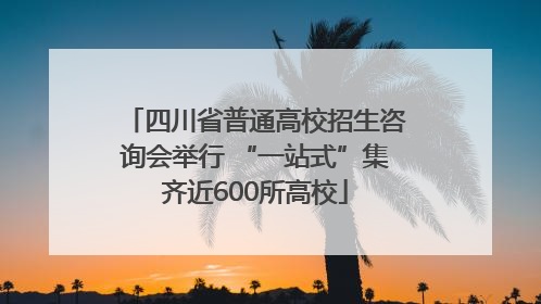 四川省普通高校招生咨询会举行 “一站式”集齐近600所高校
