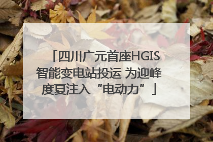 四川广元首座HGIS智能变电站投运 为迎峰度夏注入“电动力”