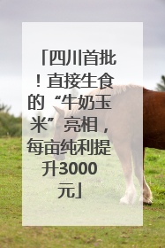四川首批！直接生食的“牛奶玉米”亮相，每亩纯利提升3000元