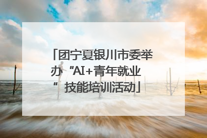 团宁夏银川市委举办“AI+青年就业”技能培训活动
