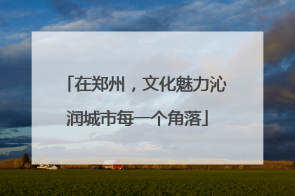 在郑州，文化魅力沁润城市每一个角落