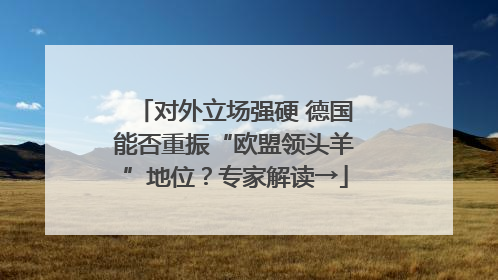对外立场强硬 德国能否重振“欧盟领头羊”地位？专家解读→