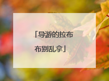 导游的拉布布别乱拿