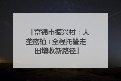 富锦市振兴村：大垄密植+全程托管走出增收新路径