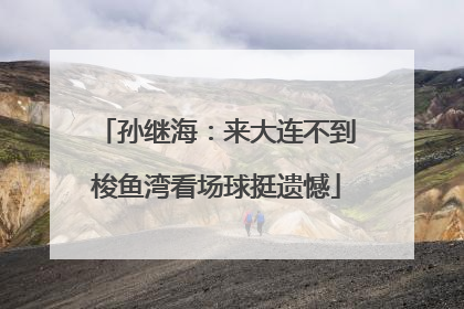 孙继海：来大连不到梭鱼湾看场球挺遗憾