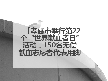 孝感市举行第22个“世界献血者日”活动，150名无偿献血志愿者代表用脚步丈量“中华孝爱第一山”