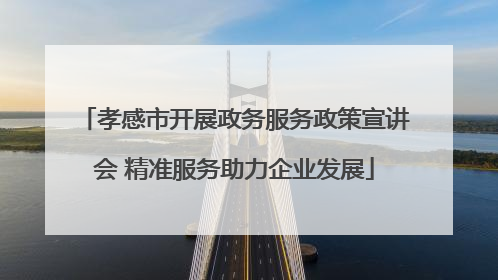 孝感市开展政务服务政策宣讲会 精准服务助力企业发展