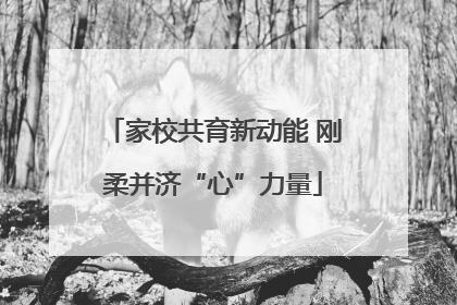 家校共育新动能 刚柔并济“心”力量