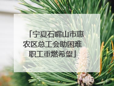 宁夏石嘴山市惠农区总工会助困难职工重燃希望