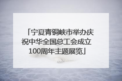 宁夏青铜峡市举办庆祝中华全国总工会成立100周年主题展览