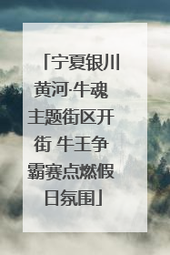 宁夏银川黄河·牛魂主题街区开街 牛王争霸赛点燃假日氛围