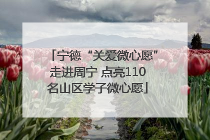 宁德“关爱微心愿”走进周宁 点亮110名山区学子微心愿