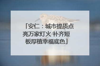 安仁：城市提质点亮万家灯火 补齐短板厚植幸福底色