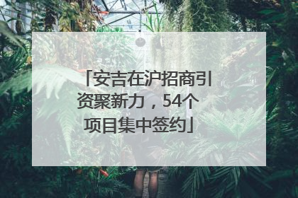 安吉在沪招商引资聚新力，54个项目集中签约