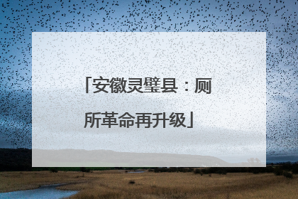 安徽灵璧县：厕所革命再升级