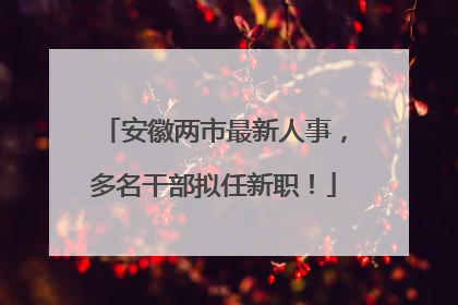 安徽两市最新人事，多名干部拟任新职！