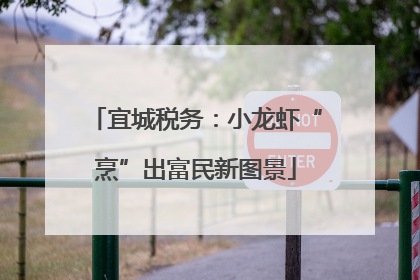 宜城税务：小龙虾“烹”出富民新图景