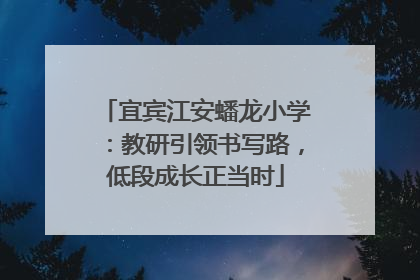 宜宾江安蟠龙小学：教研引领书写路，低段成长正当时