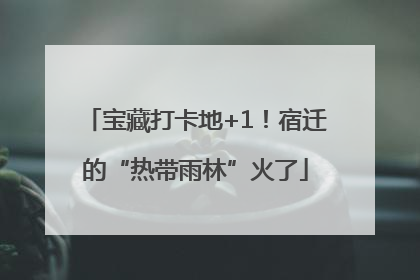 宝藏打卡地+1！宿迁的“热带雨林”火了