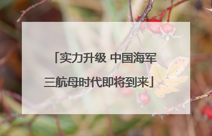 实力升级 中国海军三航母时代即将到来