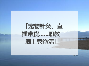 宠物针灸、直播带货……职教周上秀绝活
