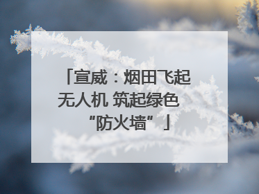 宣威：烟田飞起无人机 筑起绿色“防火墙”