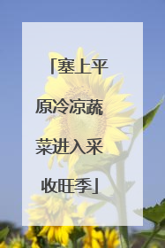 塞上平原冷凉蔬菜进入采收旺季