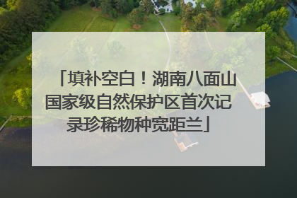 填补空白！湖南八面山国家级自然保护区首次记录珍稀物种宽距兰