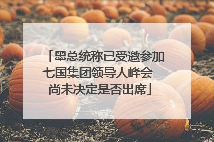 墨总统称已受邀参加七国集团领导人峰会 尚未决定是否出席