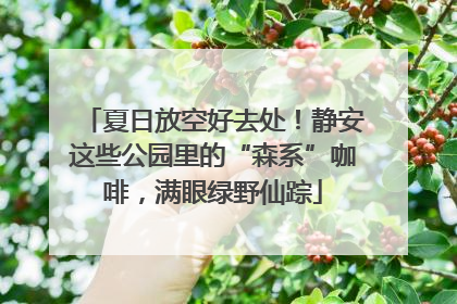 夏日放空好去处！静安这些公园里的“森系”咖啡，满眼绿野仙踪