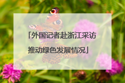外国记者赴浙江采访推动绿色发展情况