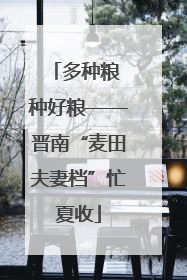 多种粮 种好粮——晋南“麦田夫妻档”忙夏收