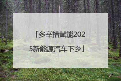 多举措赋能2025新能源汽车下乡
