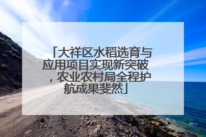 大祥区水稻选育与应用项目实现新突破，农业农村局全程护航成果斐然