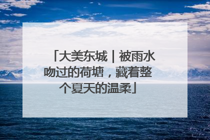 大美东城｜被雨水吻过的荷塘，藏着整个夏天的温柔
