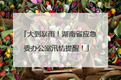 大到暴雨！湖南省应急委办公室汛情提醒！