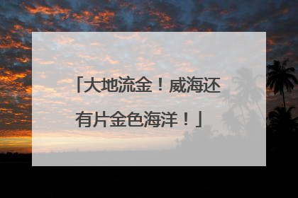 大地流金！威海还有片金色海洋！