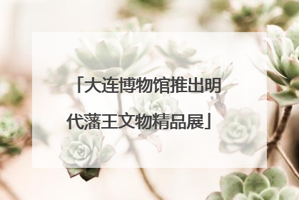 大连博物馆推出明代藩王文物精品展