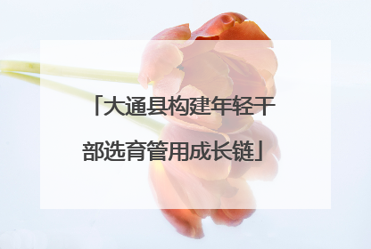 大通县构建年轻干部选育管用成长链