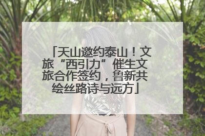 天山邀约泰山！文旅“西引力”催生文旅合作签约，鲁新共绘丝路诗与远方