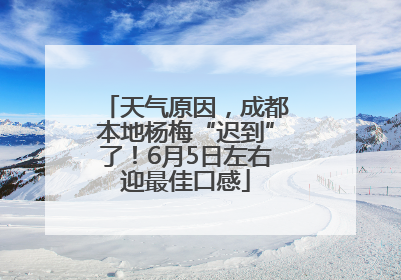 天气原因，成都本地杨梅“迟到”了！6月5日左右迎最佳口感