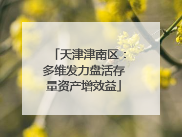 天津津南区：多维发力盘活存量资产增效益