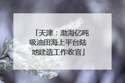 天津：渤海亿吨级油田海上平台陆地建造工作收官