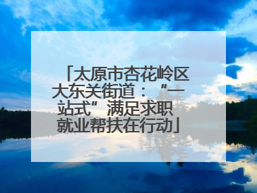 太原市杏花岭区大东关街道：“一站式”满足求职 就业帮扶在行动
